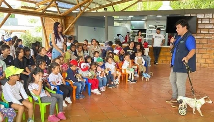 Reconocimiento a las mejores iniciativas educativas medioambientales