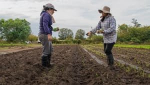 Desigualdades estructurales afectan a las mujeres rurales, revela informe nacional