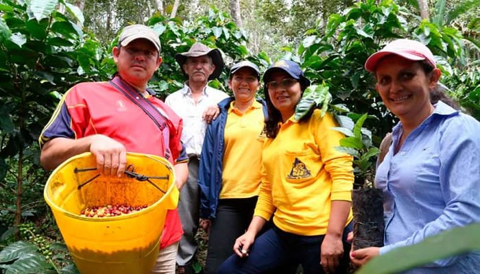 Un billón de pesos para proyectos de Ocad Paz
