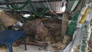 Familia en Pitalito pierde su vivienda por deslizamiento
