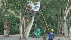 Operativos contra la contaminación visual en Neiva
