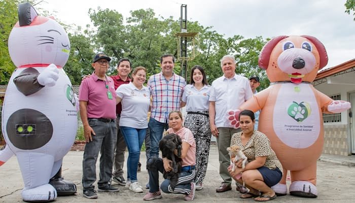 Primera fase de esterilización en el Huila fue un éxito