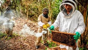 Finagro: más de 2 billones de pesos en créditos para el sector