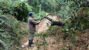 Huila en alerta: daños, desapariciones y vías bloqueadas por las lluvias