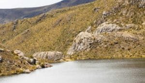 Preocupación frente al trato del Gobierno con el Páramo de Santurbán