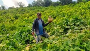 Avances de Colombia en acceso a tierras