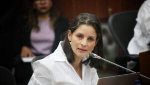 Proyecto de bienestar animal busca presentarse en el Congreso