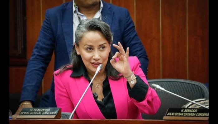 Senadora pide una música más sana