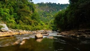 Colombia se sigue destacando en materia turística