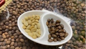 Anunciada alianza por los productos del Huila