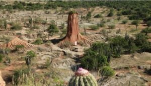 Actualizado plan de manejo ambiental de la Tatacoa