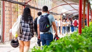Importante aumento de matriculados en la Usco