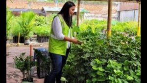 Viveros nacionales deben cumplir con las normas nacionales