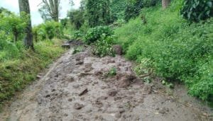 Afectaciones de las emergencias climáticas en el Huila
