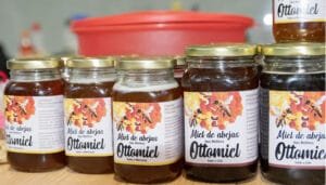 Huila avanza como productor de miel de abejas