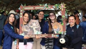 Convocatoria de experiencias en conservación del oso de anteojos y danta de montaña