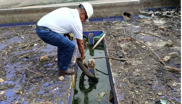 Las Ceibas EPN y su jornada de limpieza en la Plaza Cívica