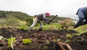 Sigue el crecimiento del agro en Colombia