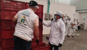Detectada irregularidad en proceso de alimentación escolar