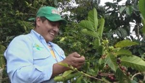 La caficultura sigue creciendo en el Huila