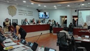 Nuevo avance en la Cámara hacia la equidad política