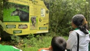 Animales silvestres son embajadores de la educación ambiental