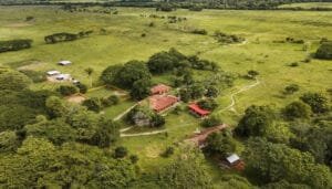 Tituladas más de un millón y medio de hectáreas a campesinos