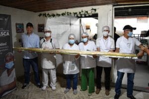 La achira más grande del mundo engalanará el San Pedro