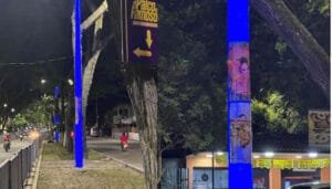 ESIP y su llamado de atención a la ciudadanía