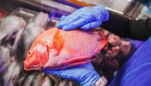 Aumento del abastecimiento de alimentos en Colombia