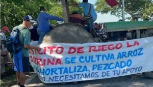 El fin de paro arrocero está cerca