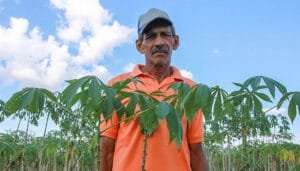 Crece el empleo rural en Colombia