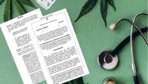 Alistando decreto para la venta de cannabis en farmacias