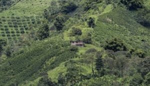 Huila, líder nacional en ordenamiento rural