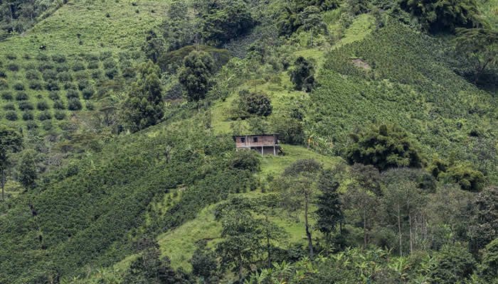 Huila, líder nacional en ordenamiento rural