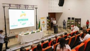 Huila y su apuesta por los cítricos