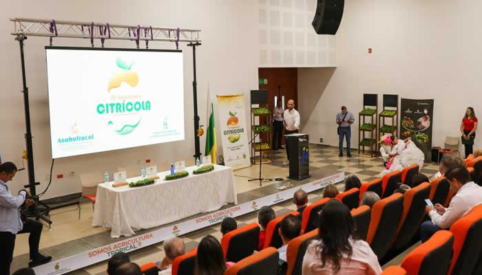 Huila y su apuesta por los cítricos