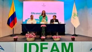 Sigue cayendo la deforestación en Colombia