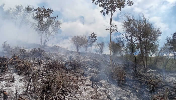 Atención de varias emergencias en el Huila