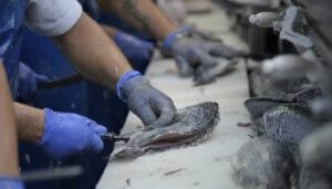 Huila gana protagonismo en materia de exportaciones