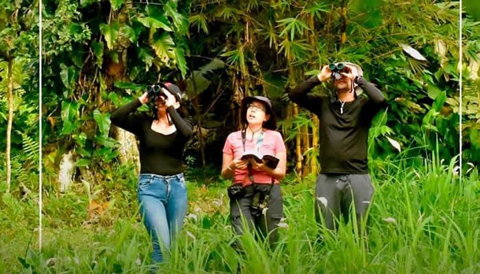 Aumento del turismo en Colombia