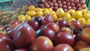 Feria del desperdicio de alimentos en Colombia