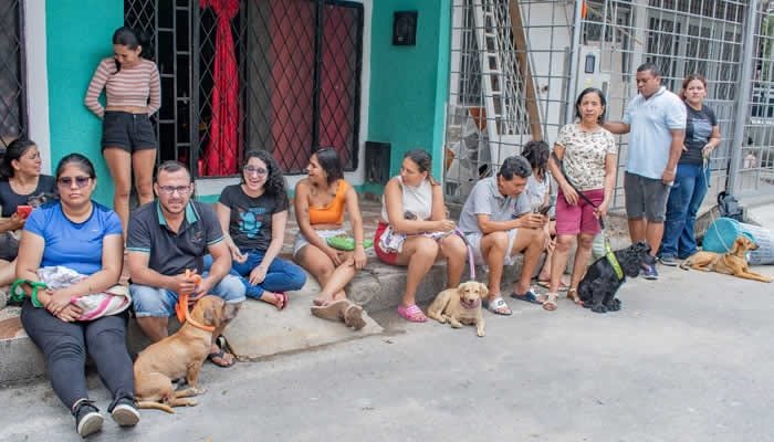 Brigadas de esterilización para animales en Neiva