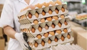 ¿Aumentará el precio del huevo y el pollo?