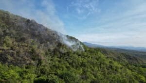Incendios en San Francisco fueron provocados