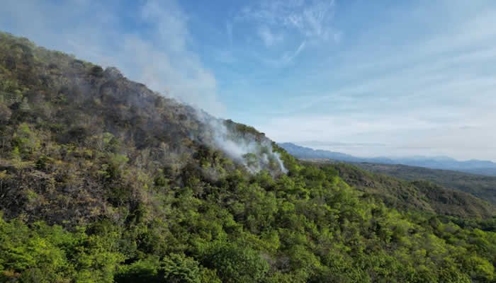 Incendios en San Francisco fueron provocados
