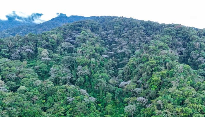 Huila, segundo departamento con más reservas naturales