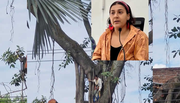 Debate en el Concejo de Neiva en torno al tema ambiental