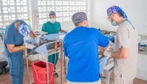 Terminada segunda fase del programa de sanidad animal