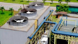 Nueva metodología para la producción de etanol carburante